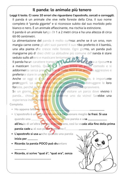 Scheda sull'apostrofo e il testo informativo