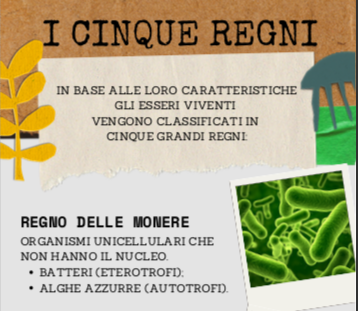 I CINQUE REGNI