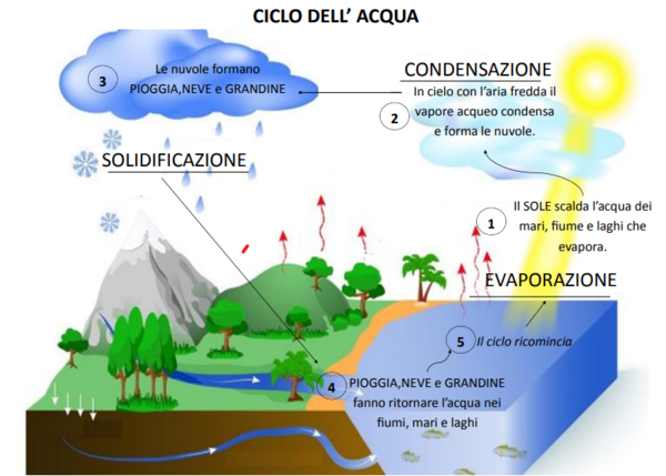 SCIENZE - Il ciclo dell'acqua