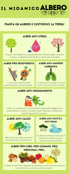 I benefici degli alberi