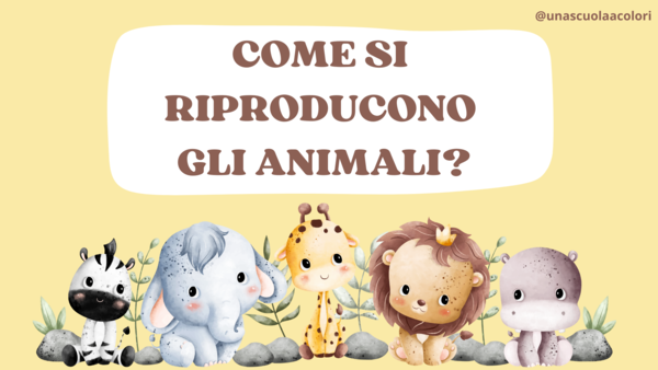 Come si riproducono gli animali