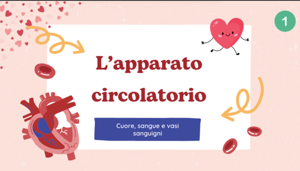 Apparato circolatorio: sangue e vasi sanguigni