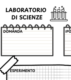 Relazione di laboratorio PRIMARIA