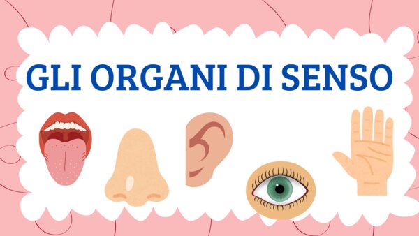 GLI ORGANI DI SENSO - QUADERNO DI SCIENZE CL 5^ -