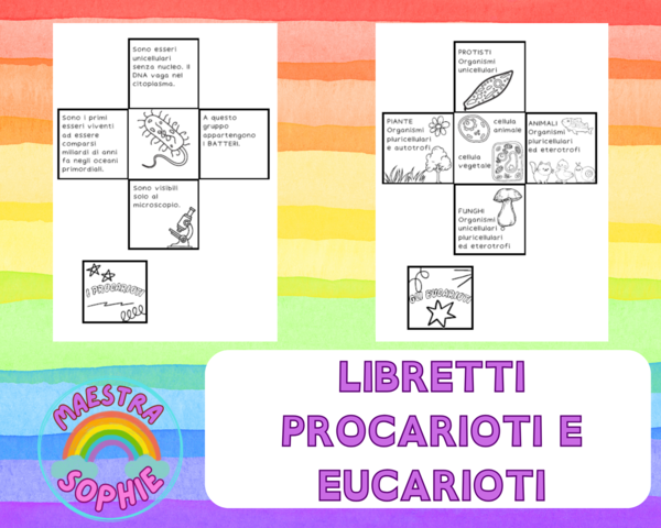 LIBRETTI PROCARIOTI ED EUCARIOTI