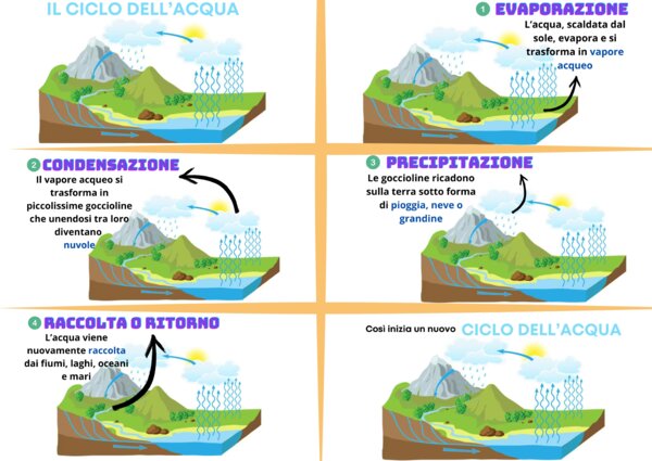 Il ciclo dell'acqua