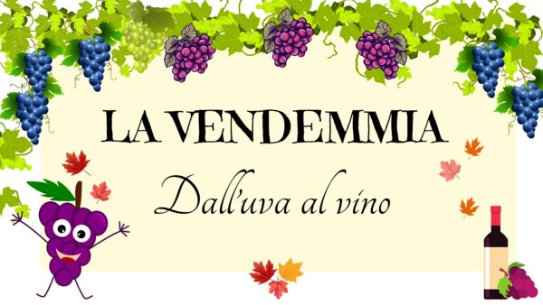 LA VENDEMMIA - DALL'UVA AL VINO -