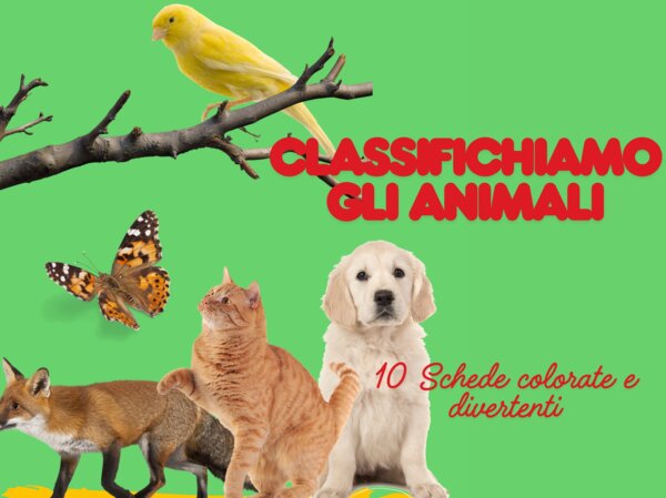 🌿 Alla scoperta degli animali: erbivori, carnivori e onnivori 🐾