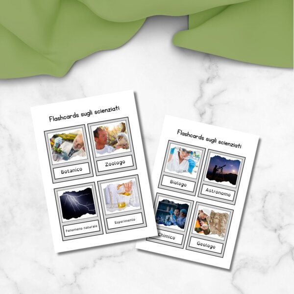 Flashcards sugli scienziati