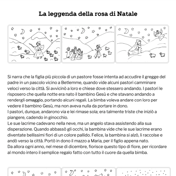 La rosa di Natale