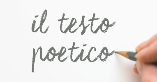 IL TESTO POETICO