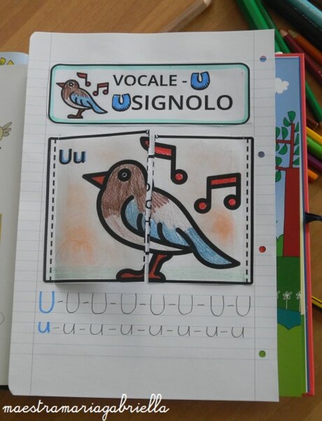 Vocale U di Usignolo e uccellino