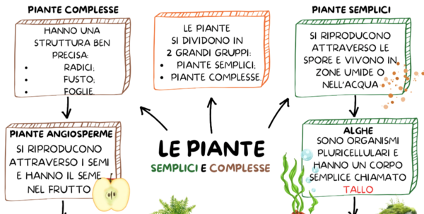 IL REGNO DELLE PIANTE