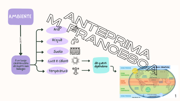 Mappe concettuali scienze ambienti naturali terza elementare