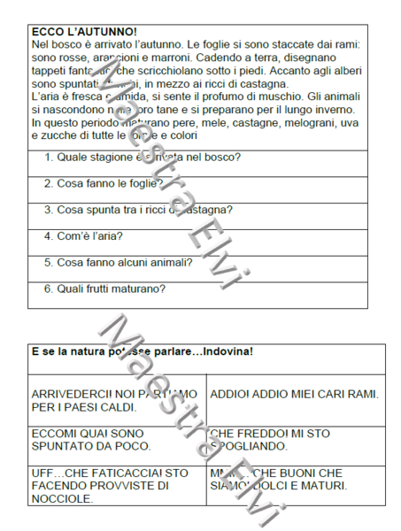 ECCO L'AUTUNNO IN SECONDA!