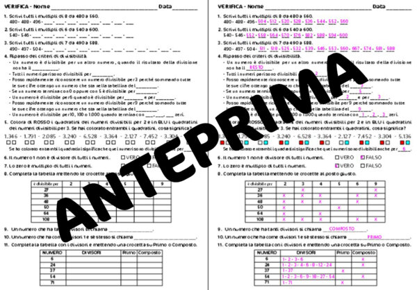 VERIFICA DI MATEMATICA SU CRITERI DI DIVISILIBILITA', NUMERI PRIMI, COMPOSTI, MULTIPLI E DIVISORI - CLASSE QUARTA SCUOLA PRIMARIA