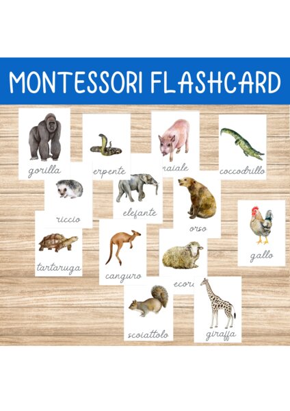 🐾Carte Montessori degli Animali