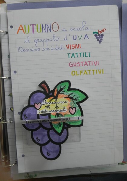 Descrivo l'uva con i dati sensoriali