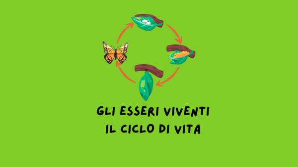 IL CICLO DI VITA DEGLI ESSERI VIVENTI