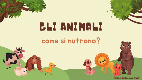 Gli animali cosa mangiano classe 3