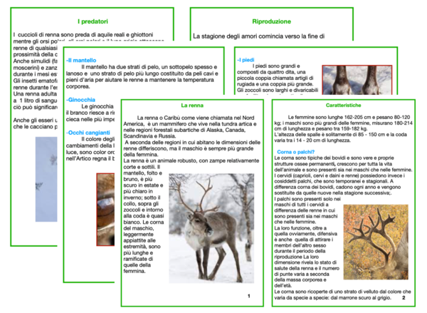 Le renne