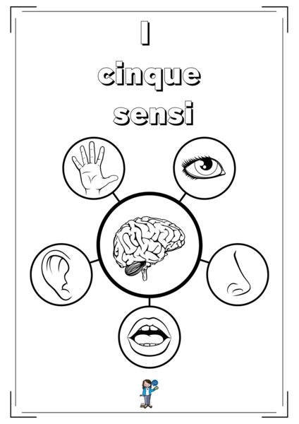 I cinque sensi