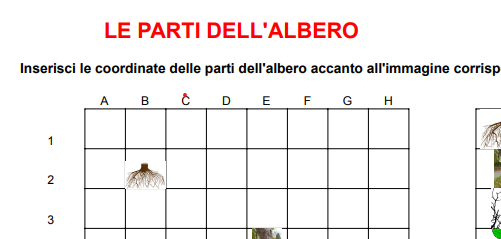 Le coordinate delle parti dell'albero