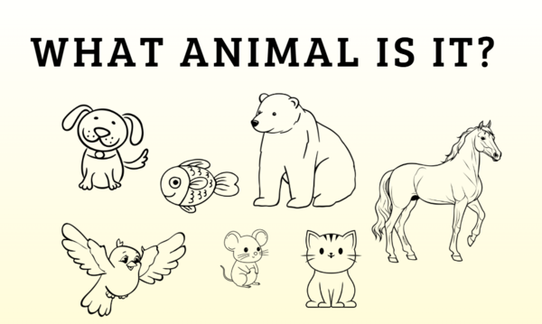 WHAT ANIMAL IS IT? - imparare l'INGLESE in modo facile e divertente (vocaboli: teoria + esercizi)
