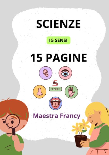 I 5 sensi