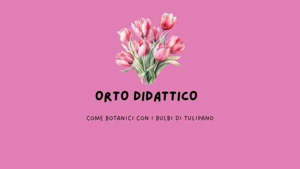 COME BOTANICI - I BULBI DI TULIPANO
