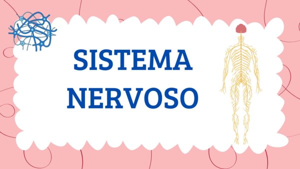 IL SISTEMA NERVOSO - QUADERNO DI SCIENZE CL. 5^ - con matrice-