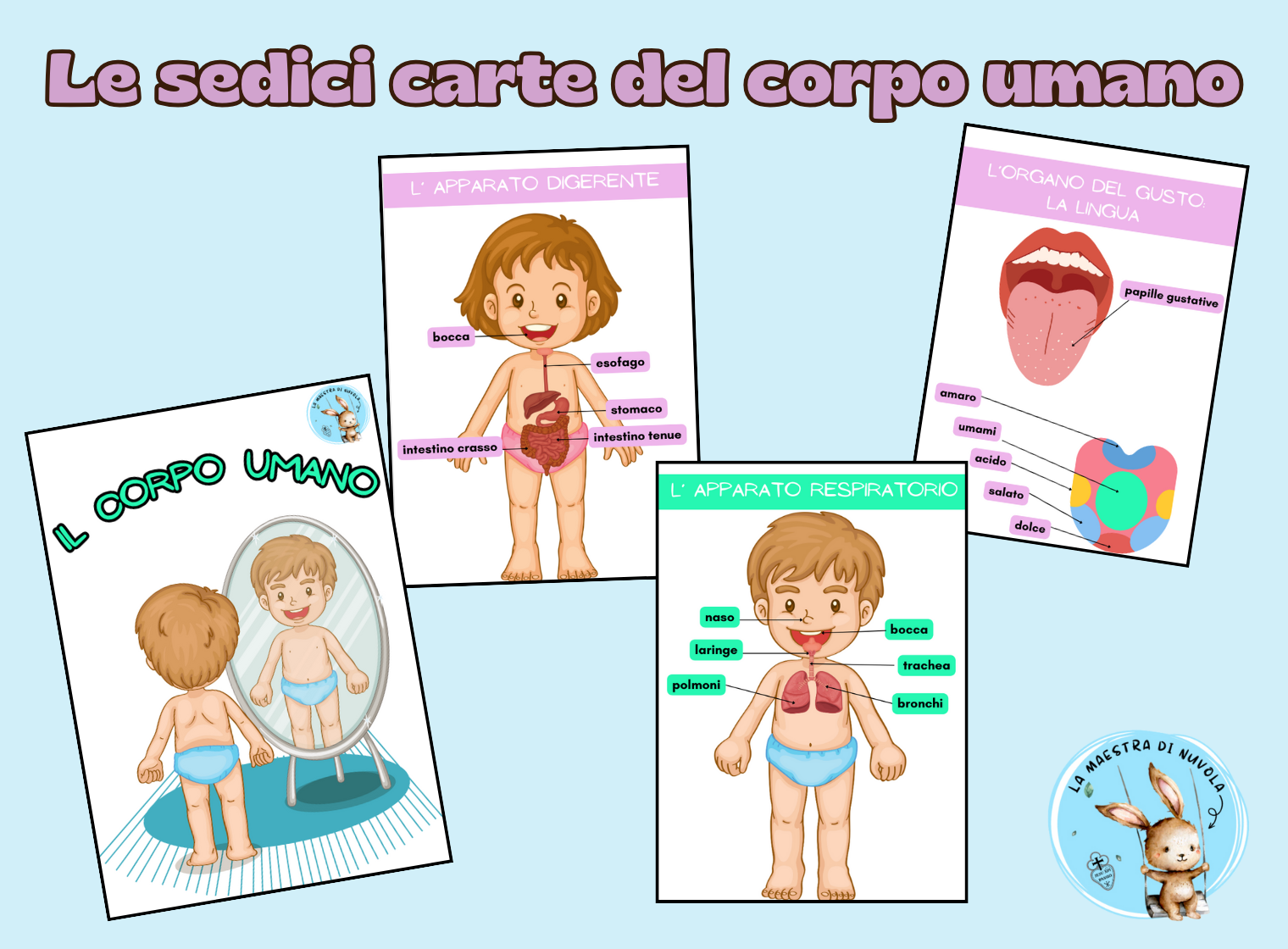 Le Carte Del Corpo Umano Edudoro