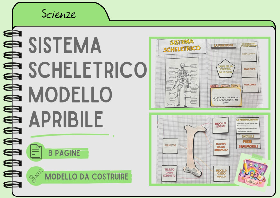 SISTEMA SCHELETRICO - MODELLO APRIBILE