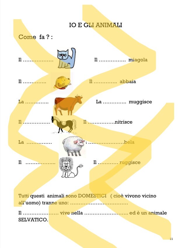 IL MIO QUADERNO
