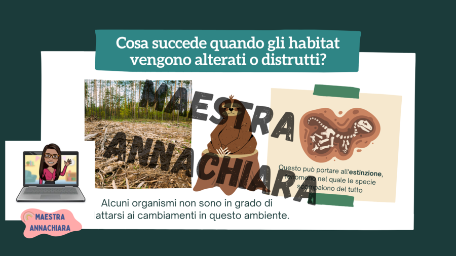 Habitat a rischio