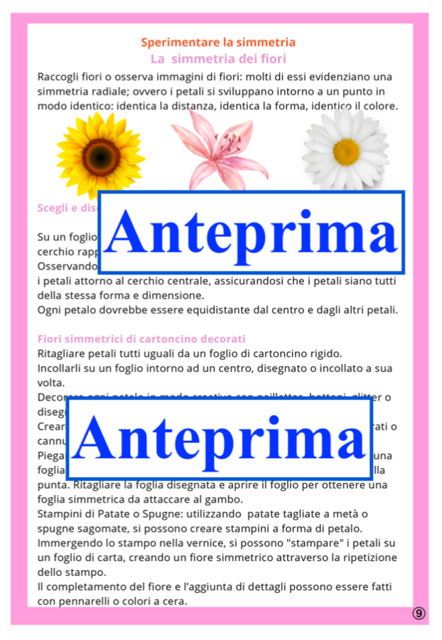 alla scoperta della simmetria