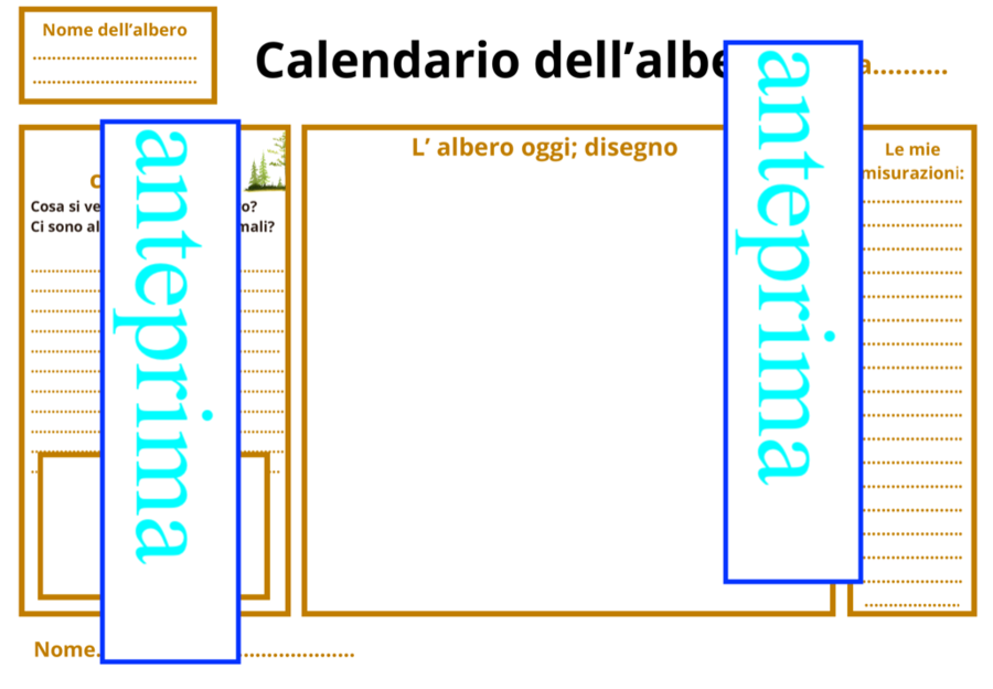 Il calendario degli alberi