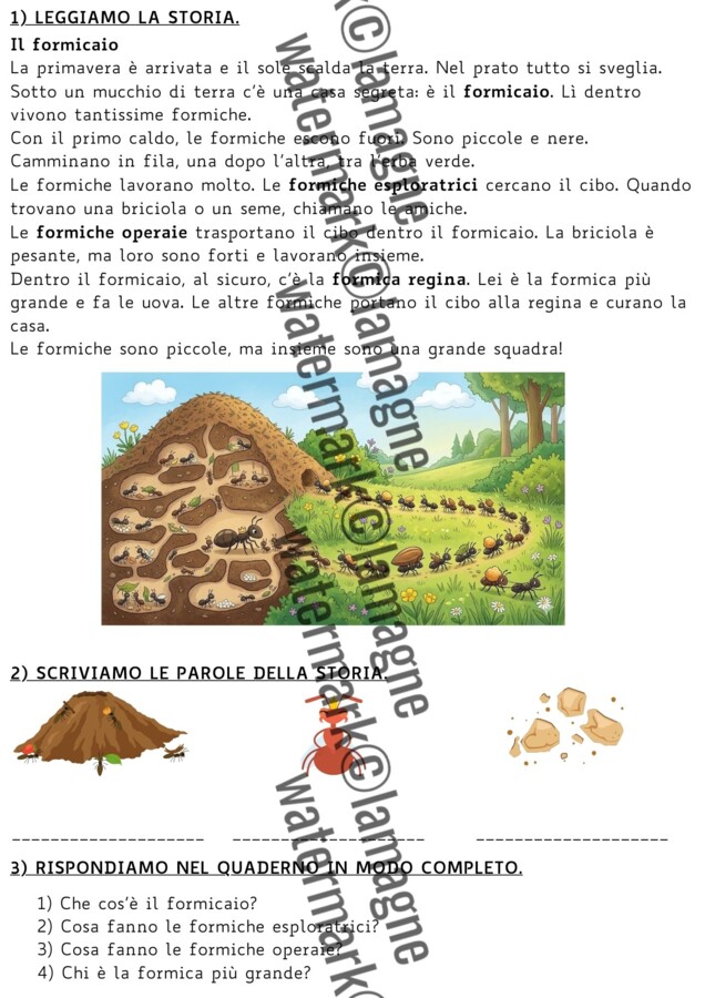 PRIMAVERA - Testi di lettura e comprensione