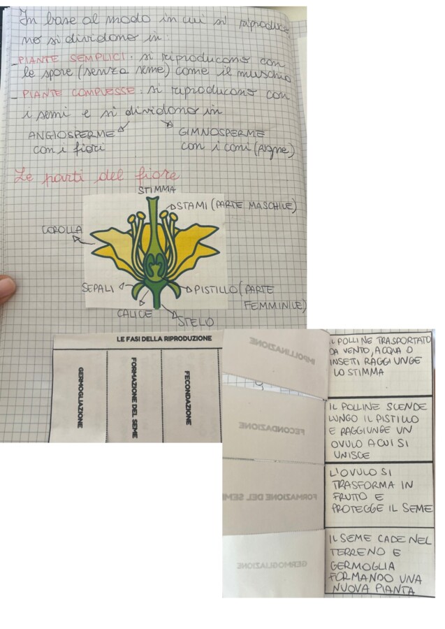 Quaderno completo di scienze classe quarta