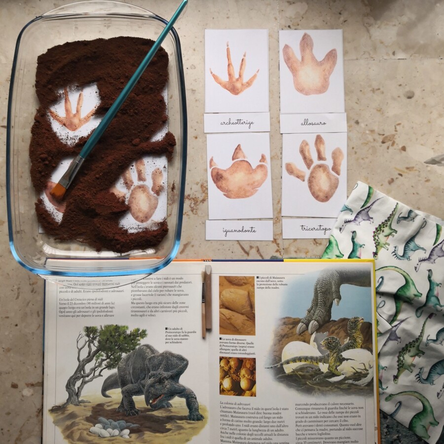 Carte Nomenclatura DINOSAURI, carte tipo Montessori