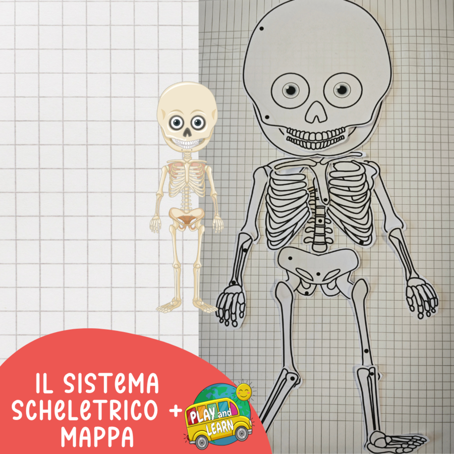 IL SISTEMA SCHELETRICO in tre versioni + mappa da completare