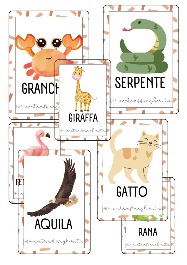 Cards degli animali