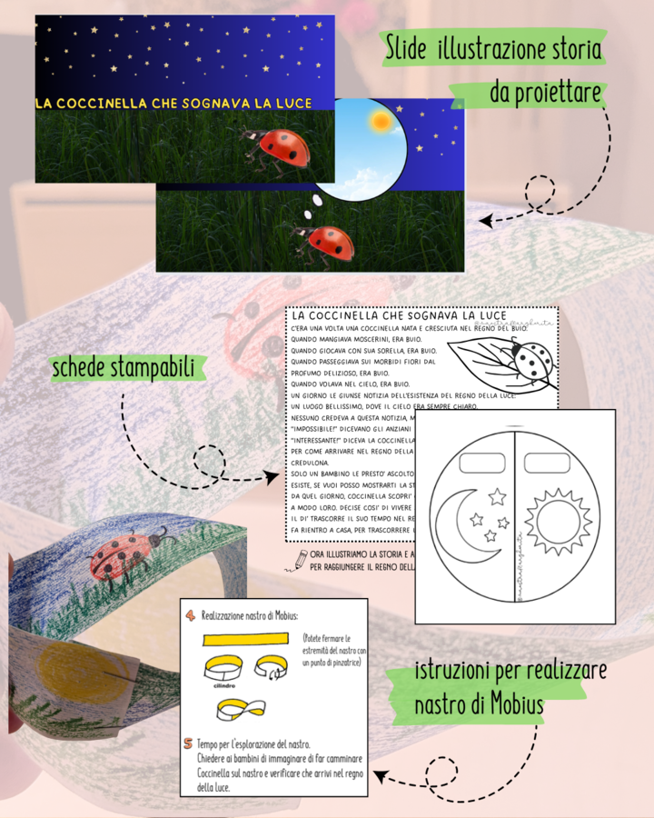 La coccinella che sognava la luce. STORIA cl 1° - il tempo ciclico