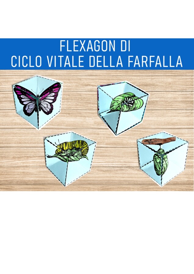 flexagon di ciclo vitale della farfalla