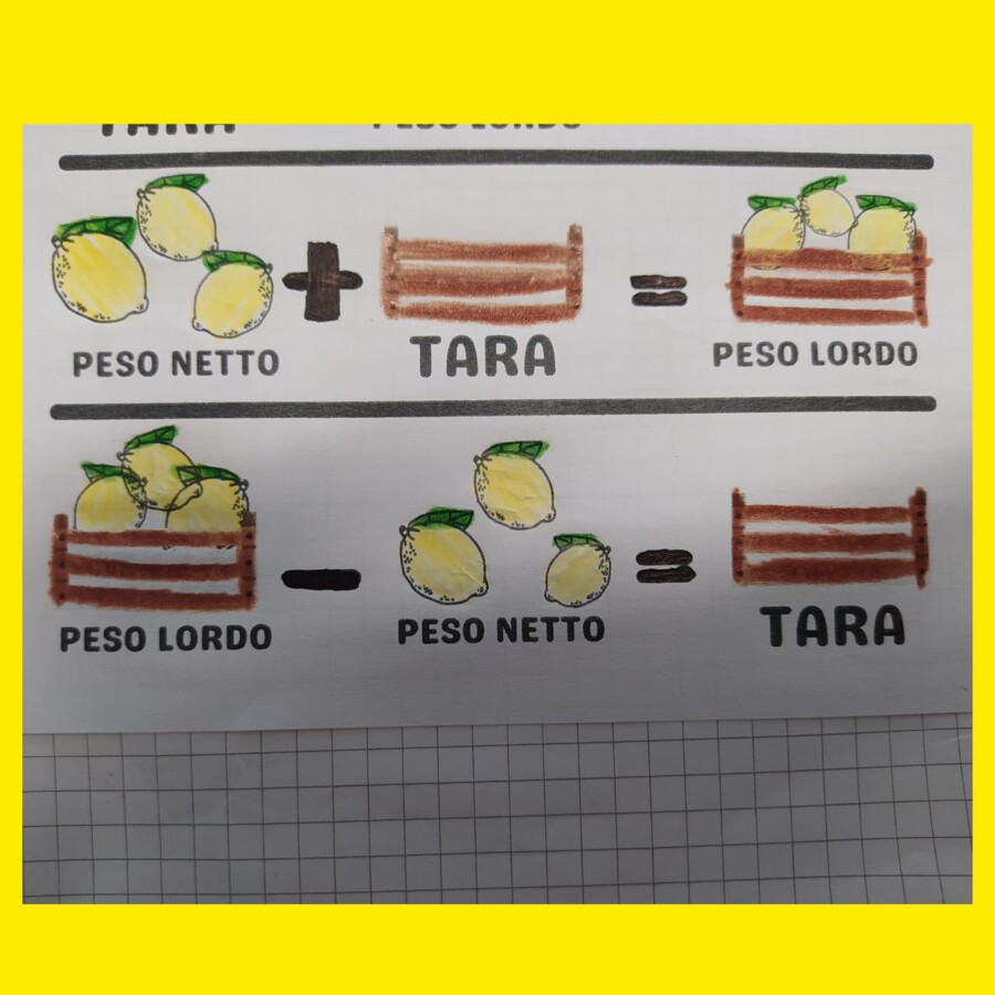 Peso netto, lordo e tara con i limoni!