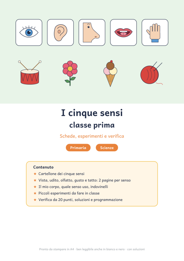 I cinque sensi classe prima: schede, esperimenti e verifica