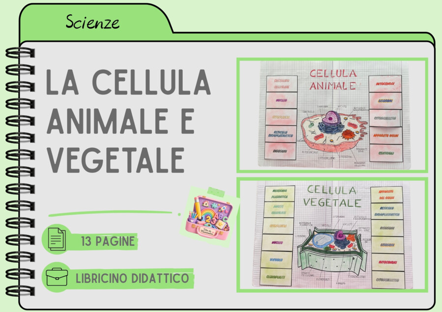 CELLULA ANIMALE E VEGETALE MODELLO APRIBILE