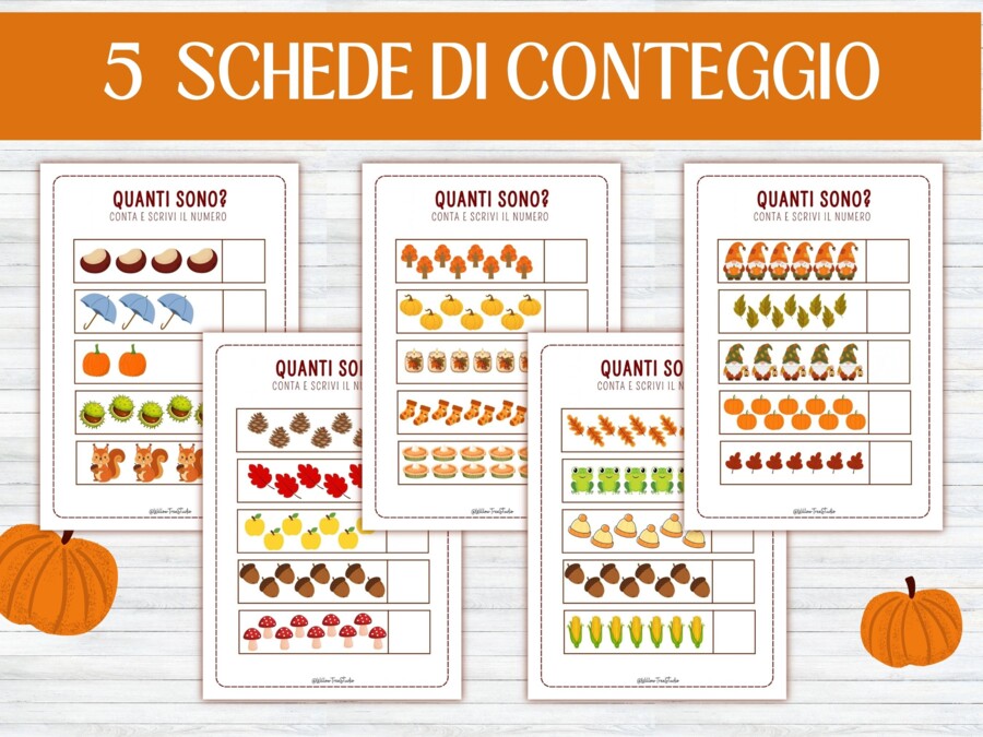 Schede Didattiche Matematica d'Autunno: Conteggio, Addizioni e Sottrazioni - pacchetto Precalcolo e Matematica Autunnale (15 Schede - Infanzia, Primaria e Sostegno/BES)