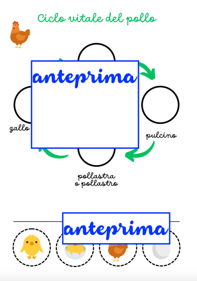 I cicli della vita-4 cicli vitali da leggere, osservare e ricostruire-classi 1-3