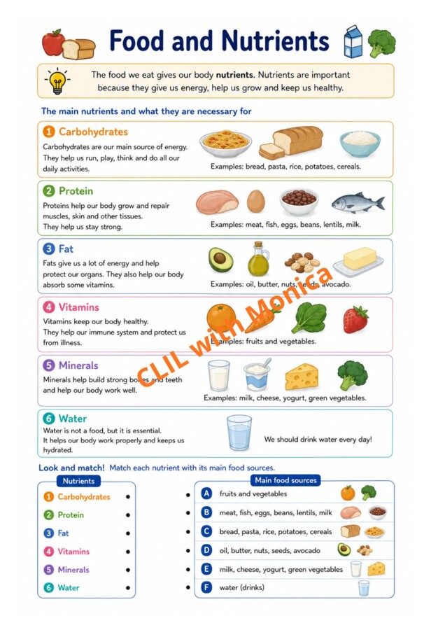 CLIL Science The Human Body classe 5^